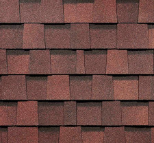 Зрелый каштан