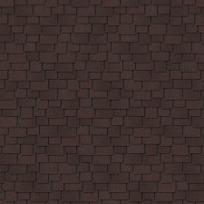 Зрелый каштан